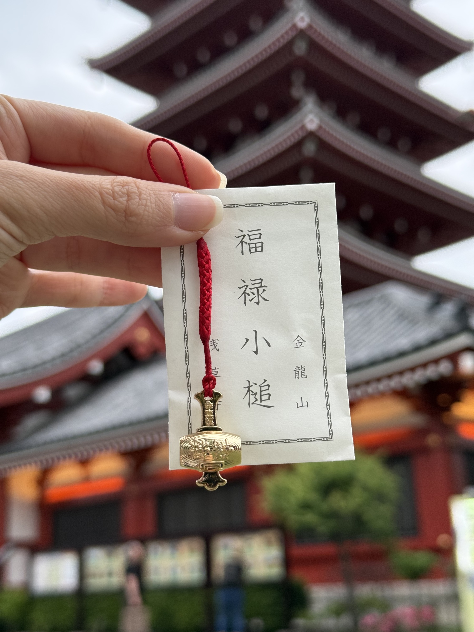 image_22BA973F-1C32-4777-AB81-DD714CF5C574_1768069567