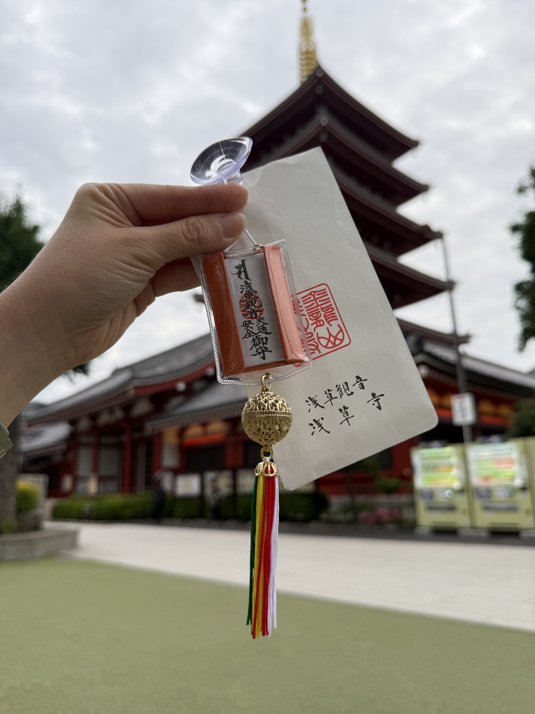 image_58720FC7-9E36-4567-84FF-FBBA990ACEB1_1768191145