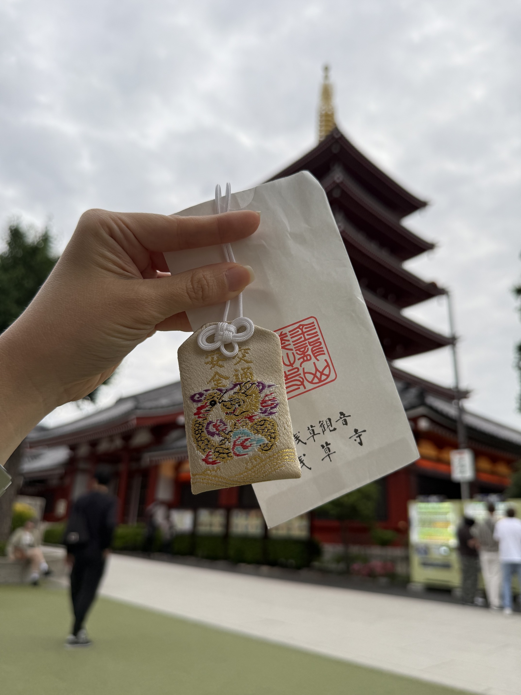 image_F739053E-9CE4-4BD5-96BF-0F2BEEB2B803_1768191228