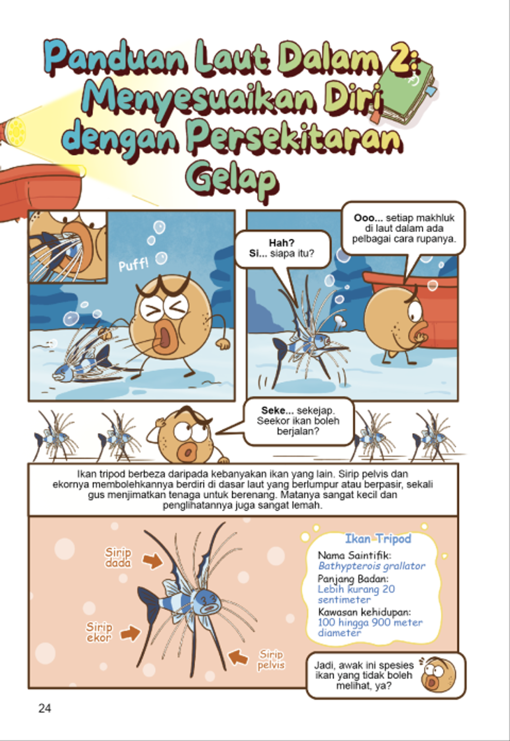 laut dalam content 5