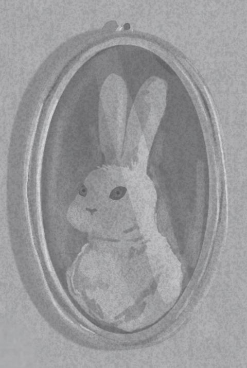 cursed bunny content 2