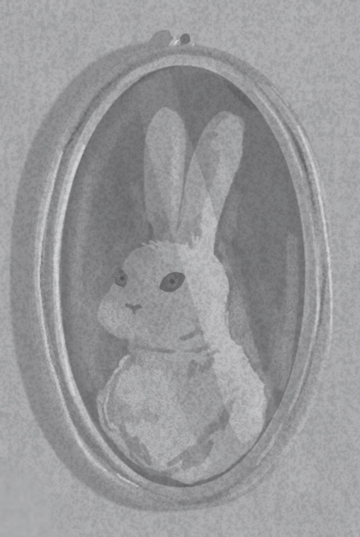 cursed bunny content 2