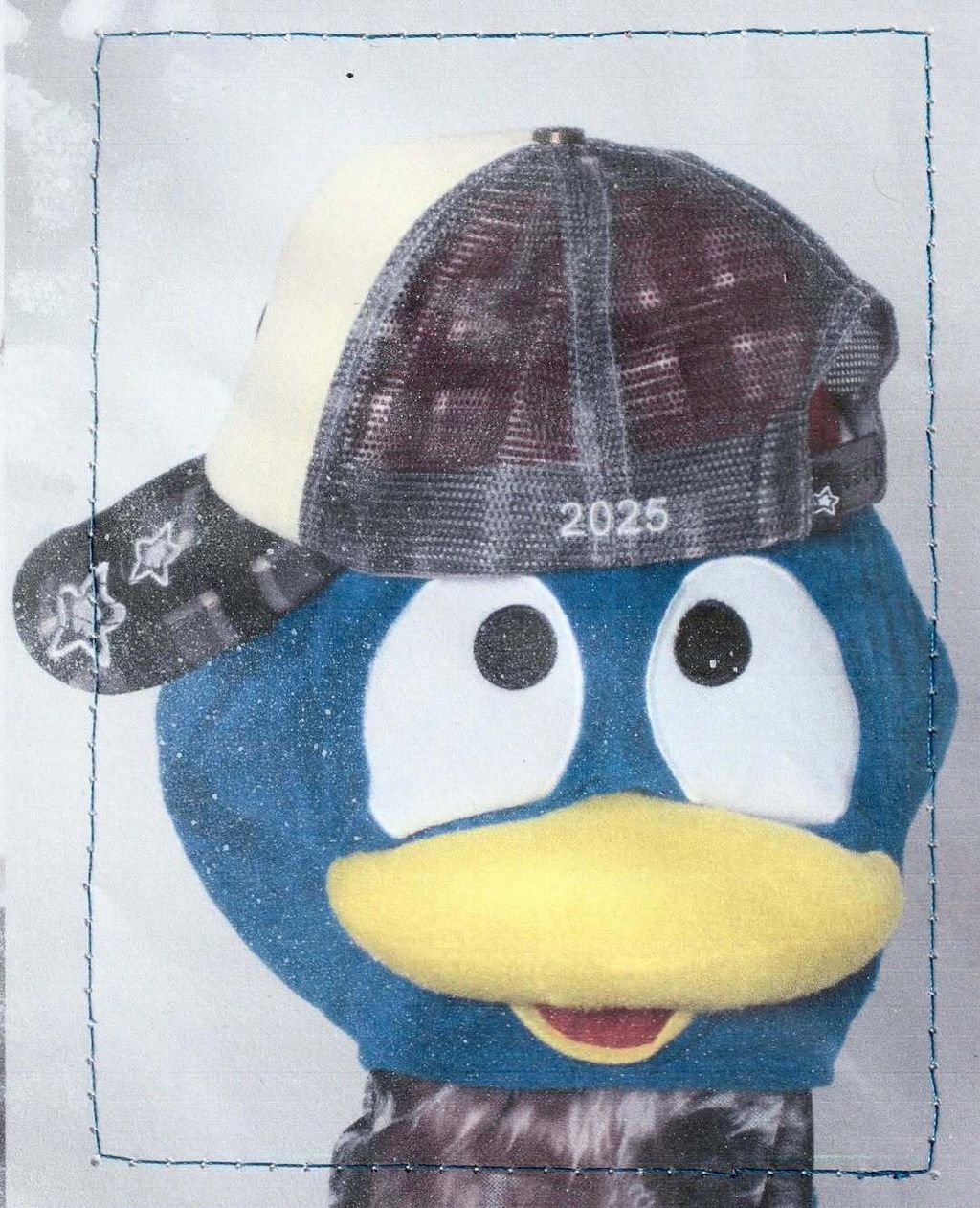 SaveClip.App_509655784_17987275514829742_1526854894636219887_n