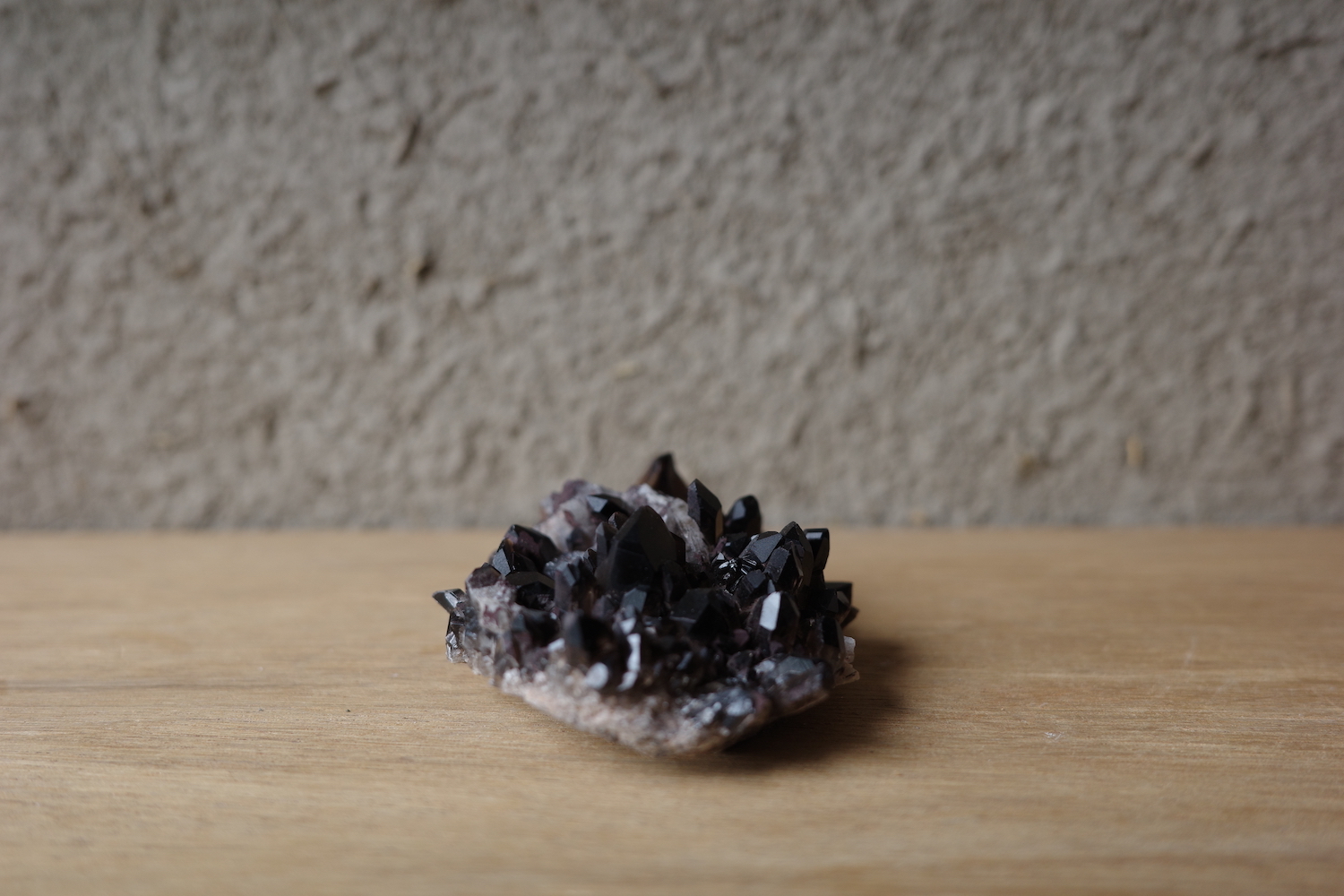R0006619