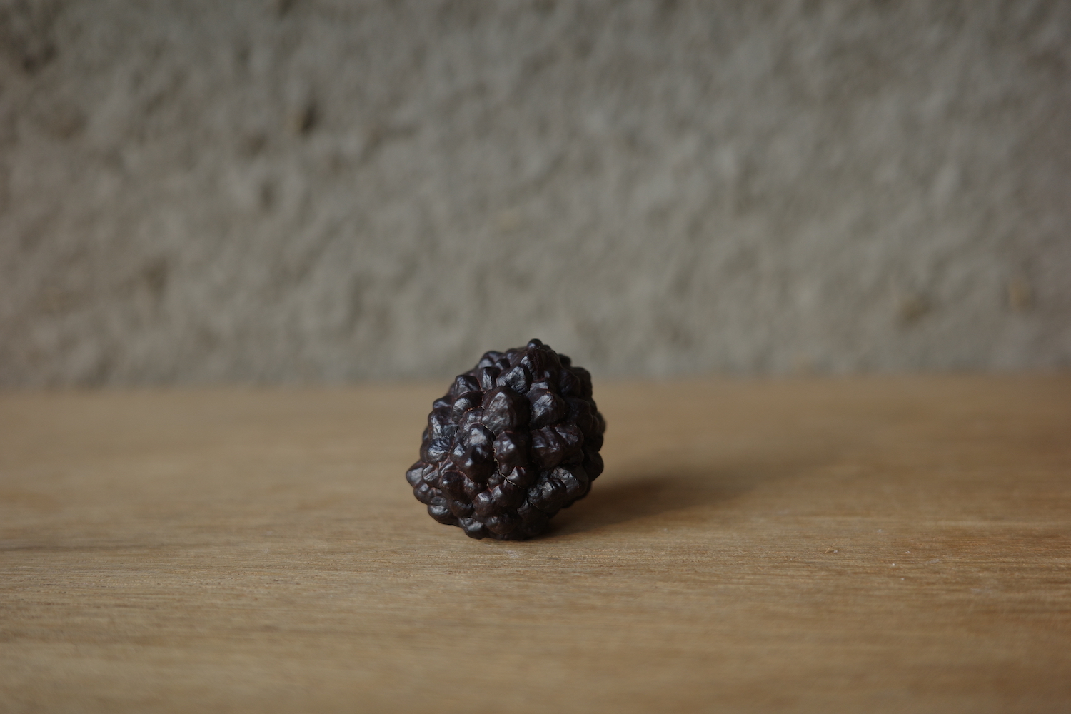 R0008819