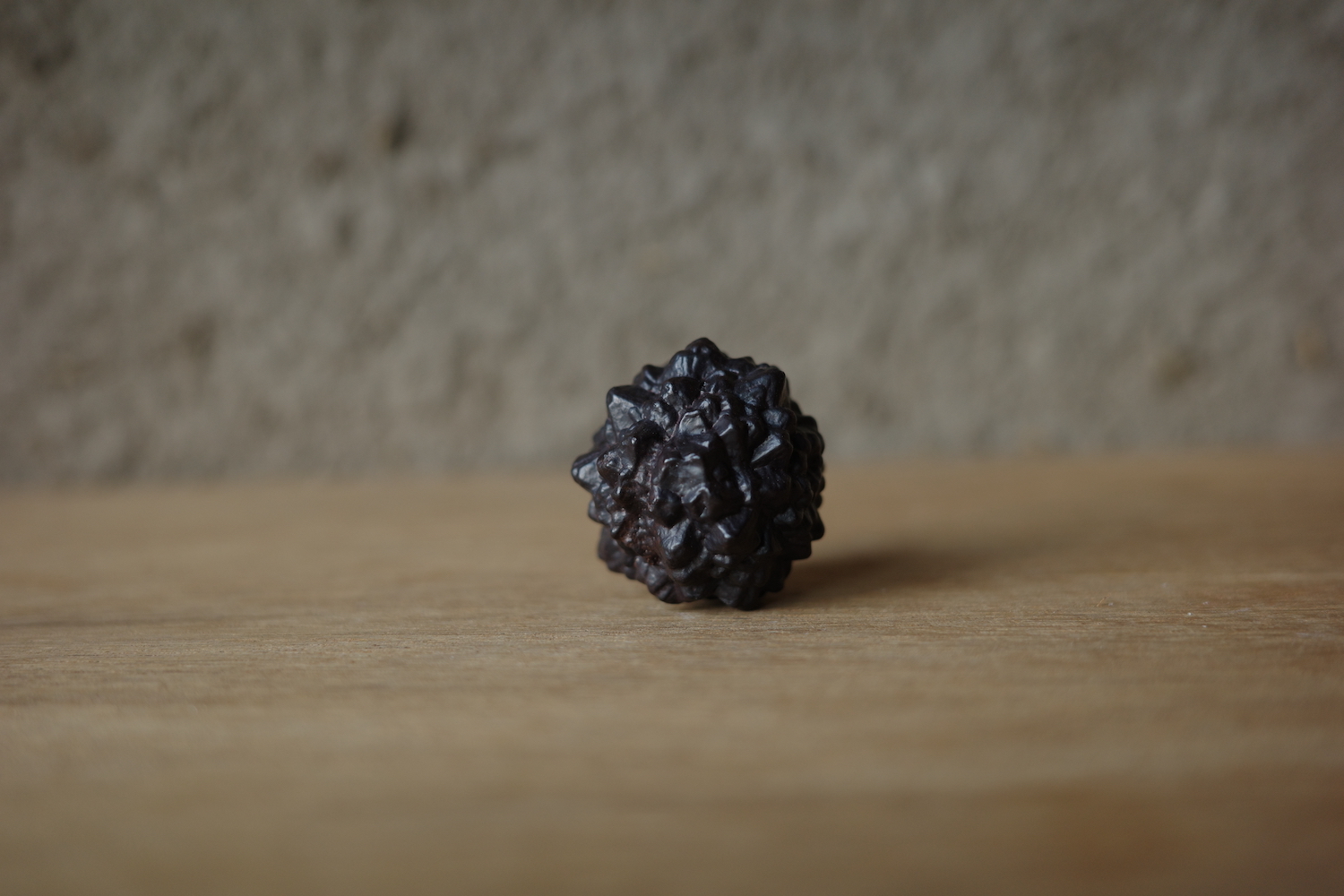 R0008832