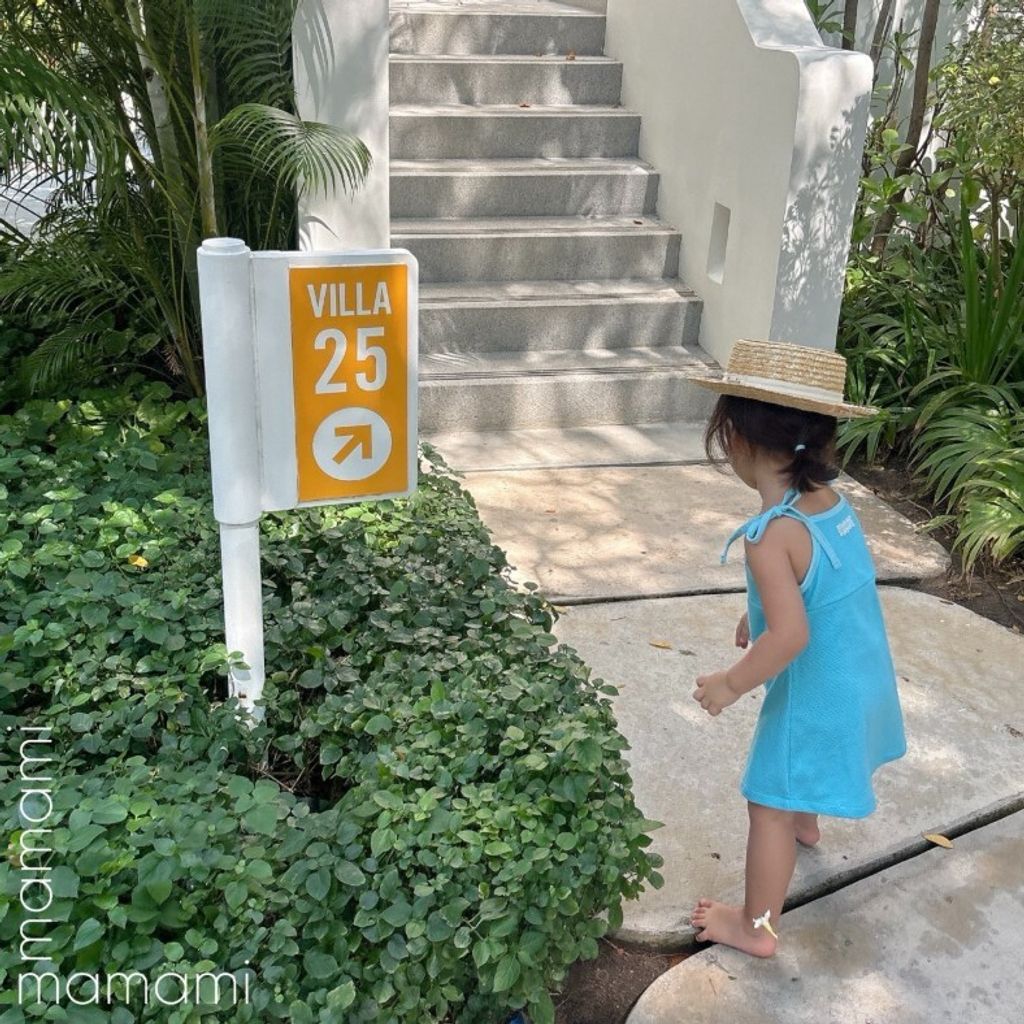 Snipaste_2025-05-07_12-44-42