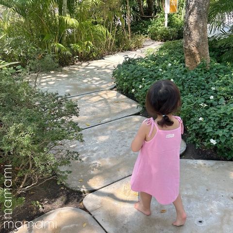 Snipaste_2025-05-07_12-45-10