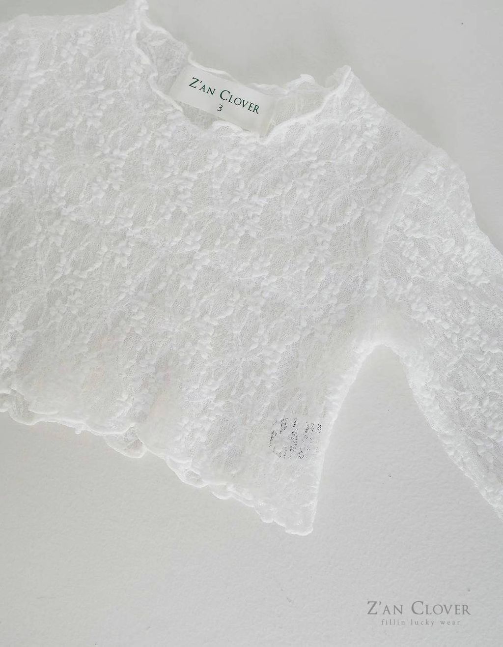 微信圖片_2025-05-10_192026_246