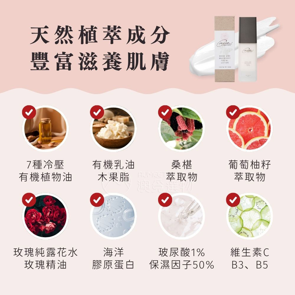 Cania玫瑰桑椹晶透美肌乳液 40ml-2AM