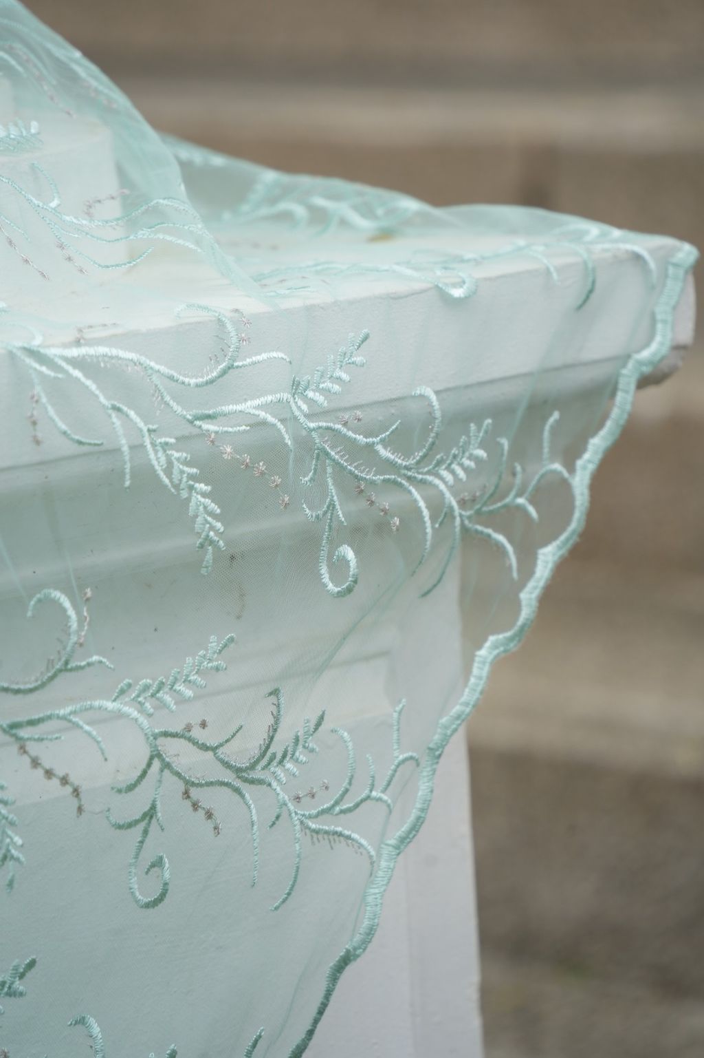 WhatsApp Image 2026-02-18 at 9.50.50 AM (50)