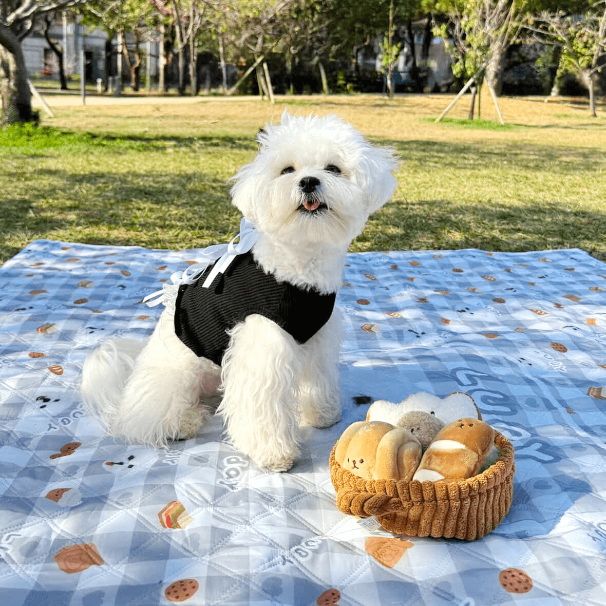 639444398_1401187704488432_96579981