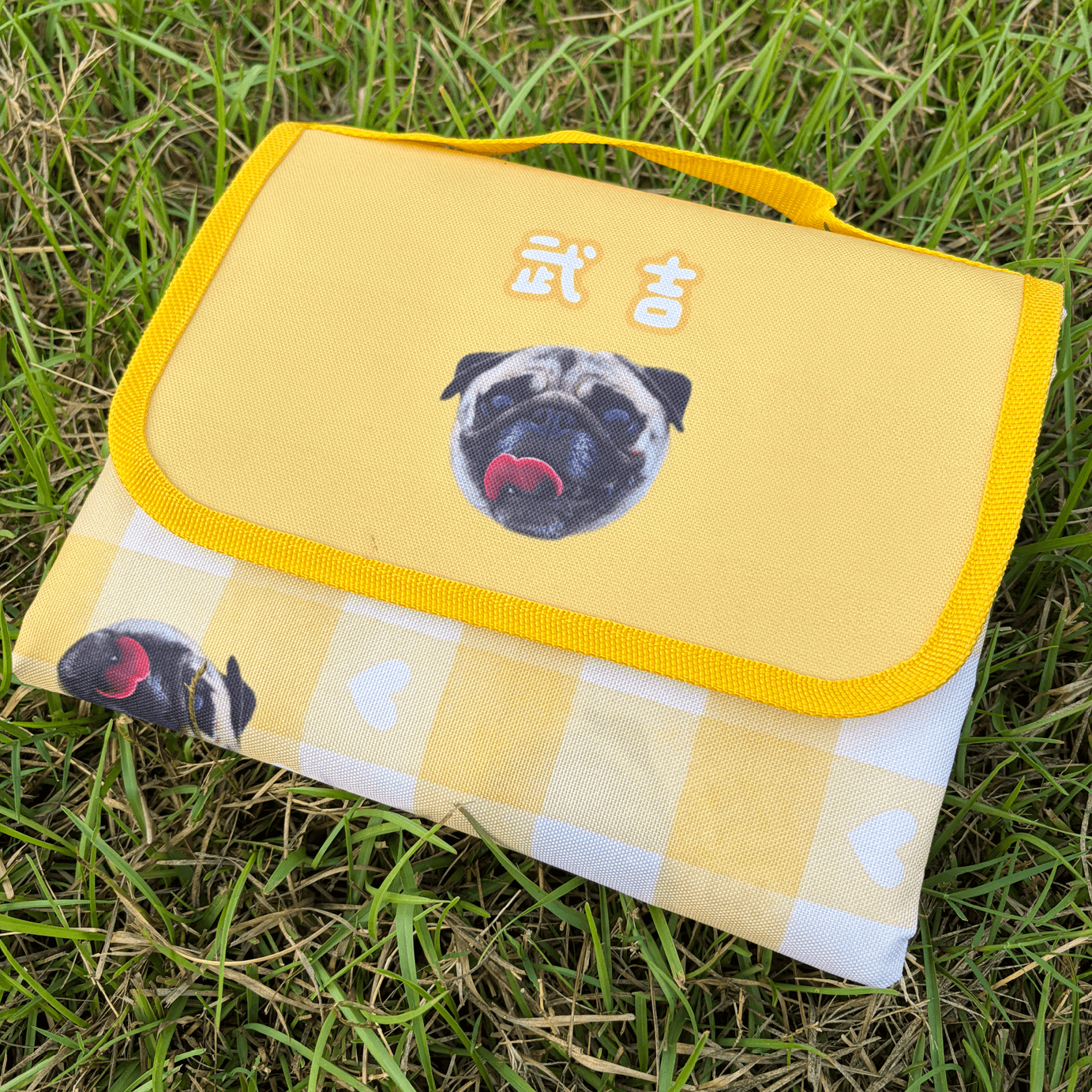 野餐墊材質-啊ˊ (1)