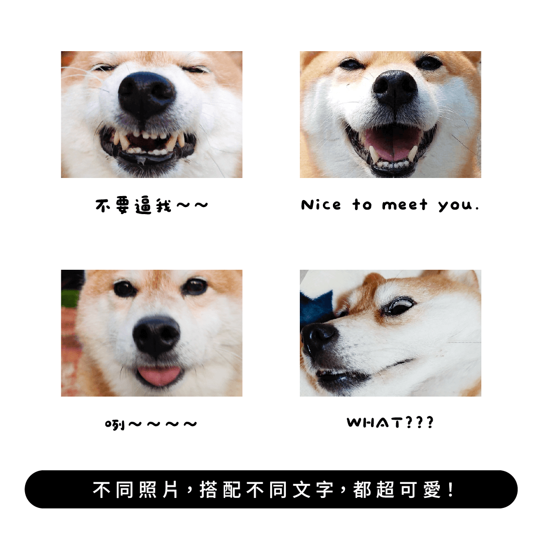 模板_XXX is watching-13