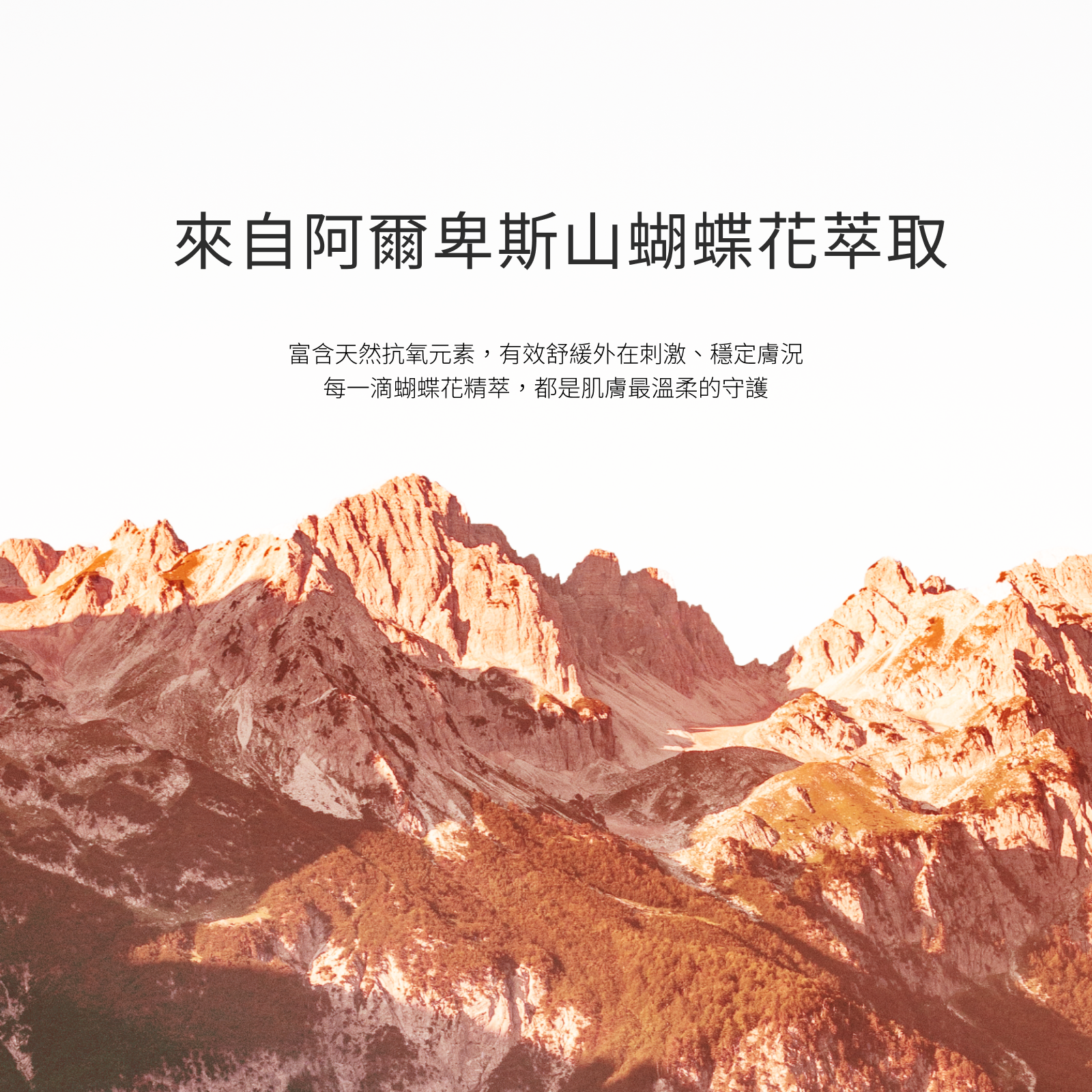 化妝水10