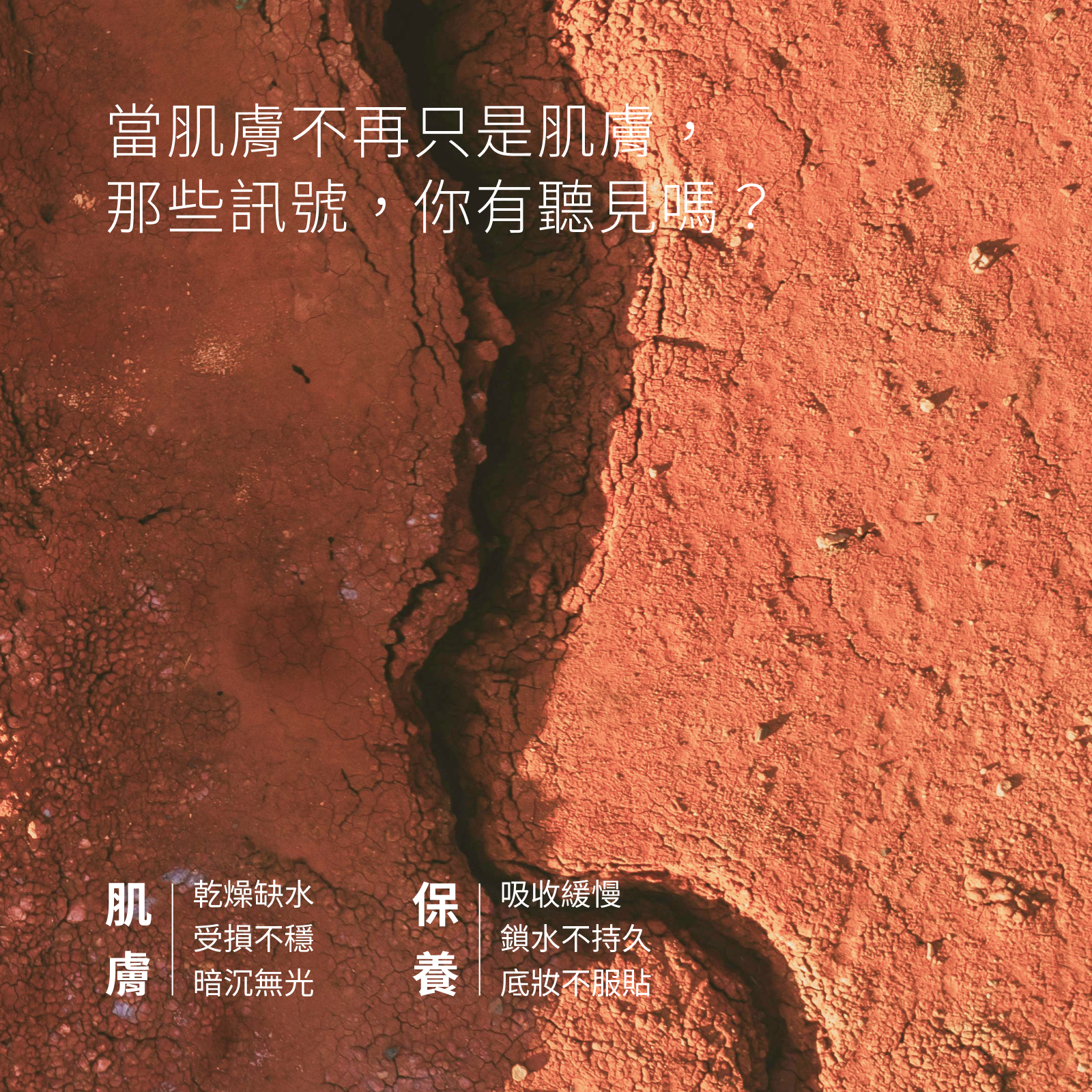 保濕精華3