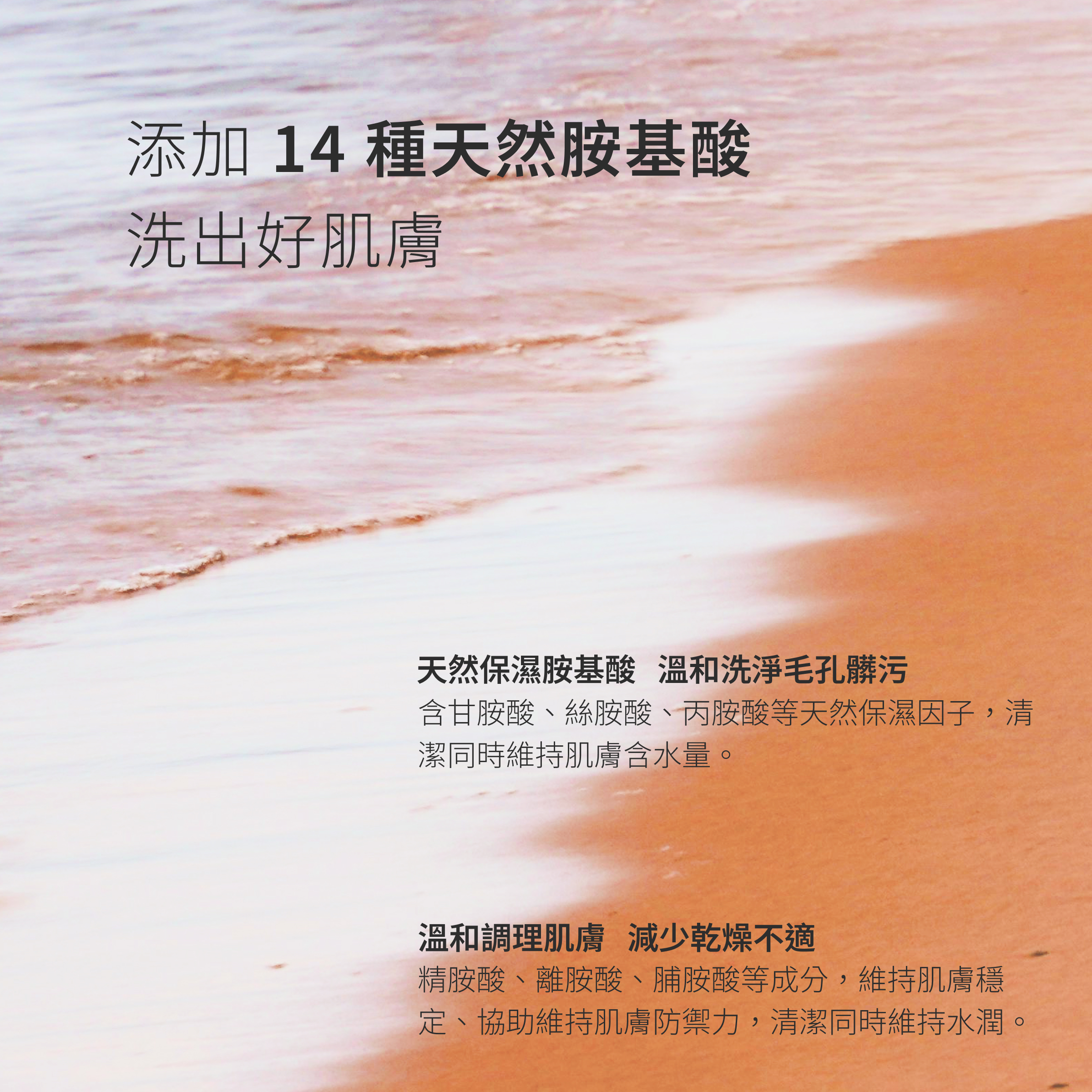 14種天然胺基酸及保濕因子，清潔油汙，維持肌膚含水量，達到平衡潔淨。