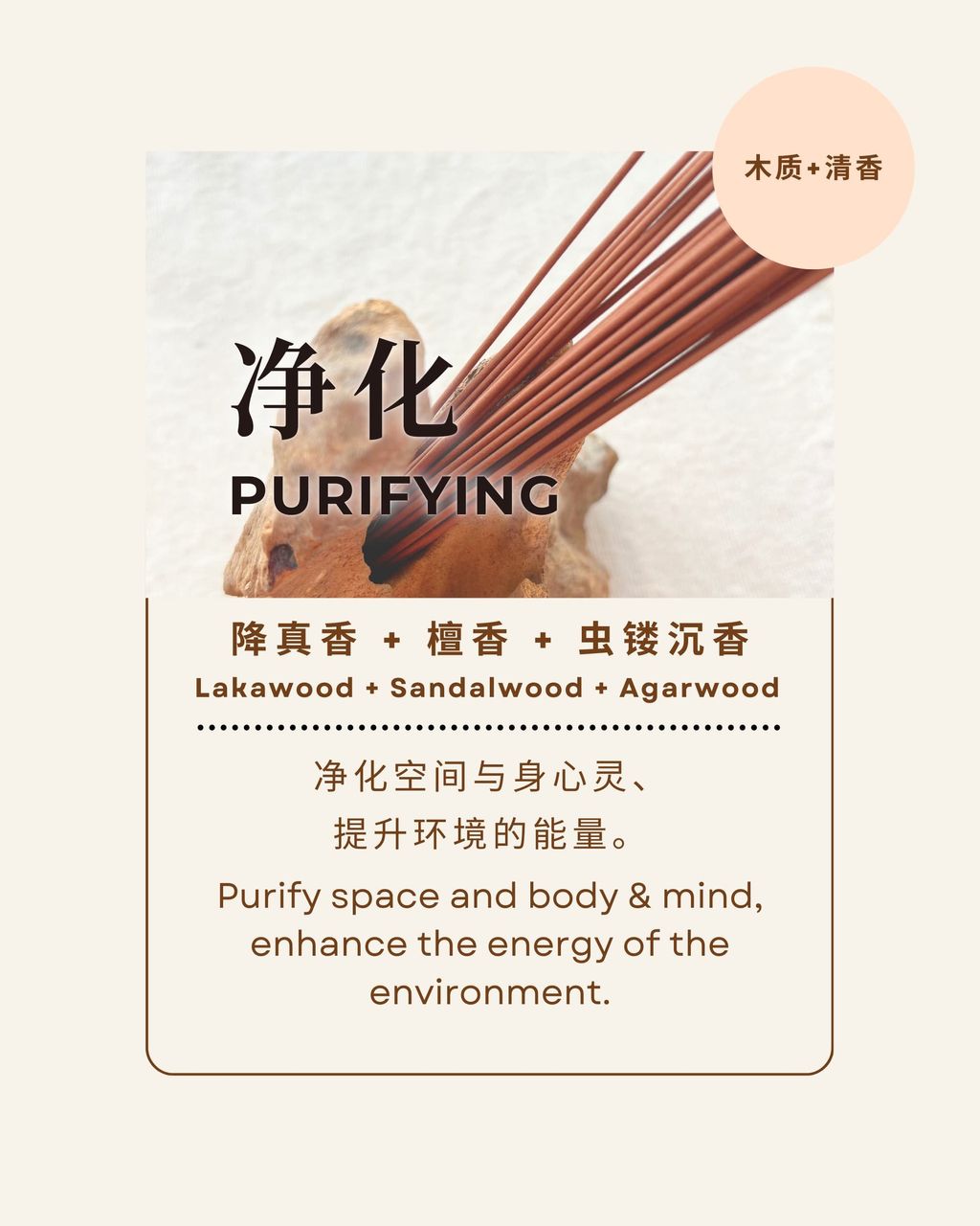 WhatsApp Image 2025-05-09 at 12.51.12