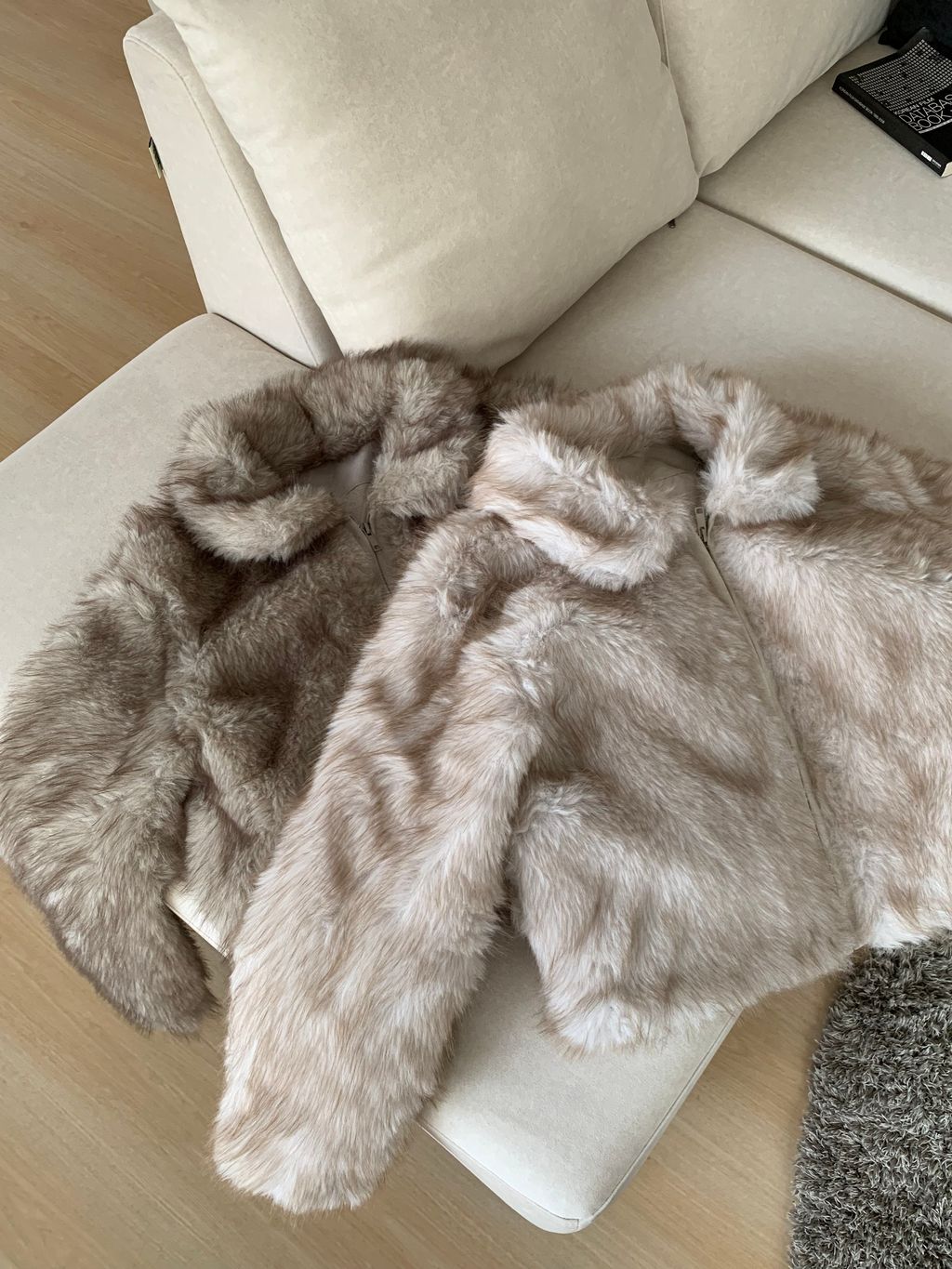 image_14398F15-8A09-4CD9-A620-6C3A5AB526A2_1765422524