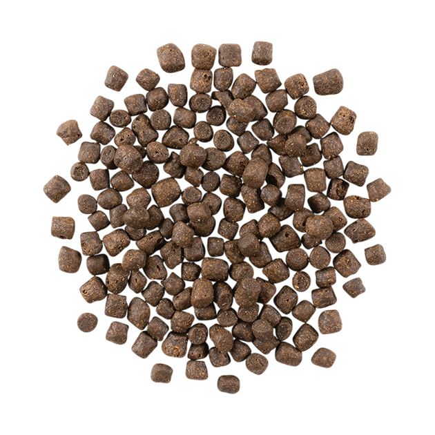 GO_CF_Carn_FWTS_Burst-630