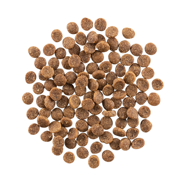 GO_CF_Carn-GFSalmonCod_Burst-630