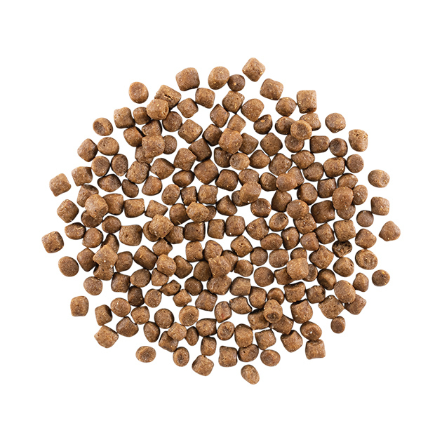 GO_CF_S+C-Chicken_Burst-630