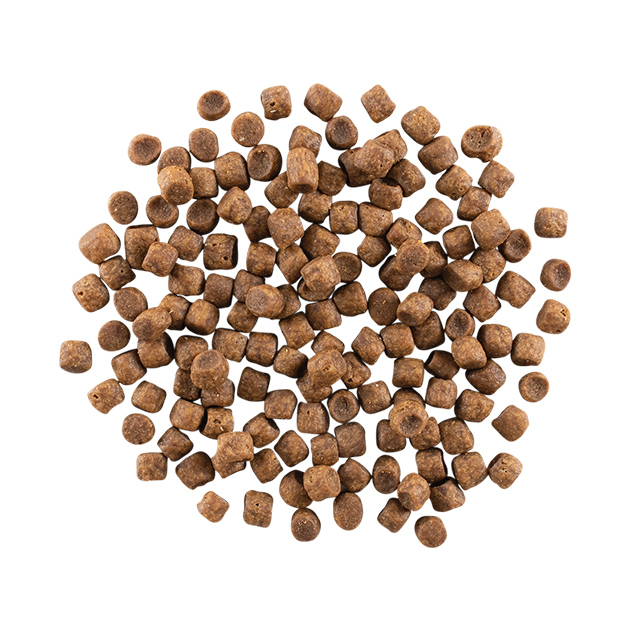 GO_CF_Carn-GFCTD_Burst-630