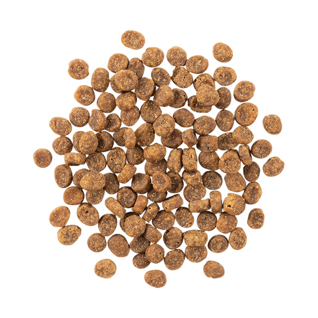 GO_CF_SEN_Duck_Burst-630