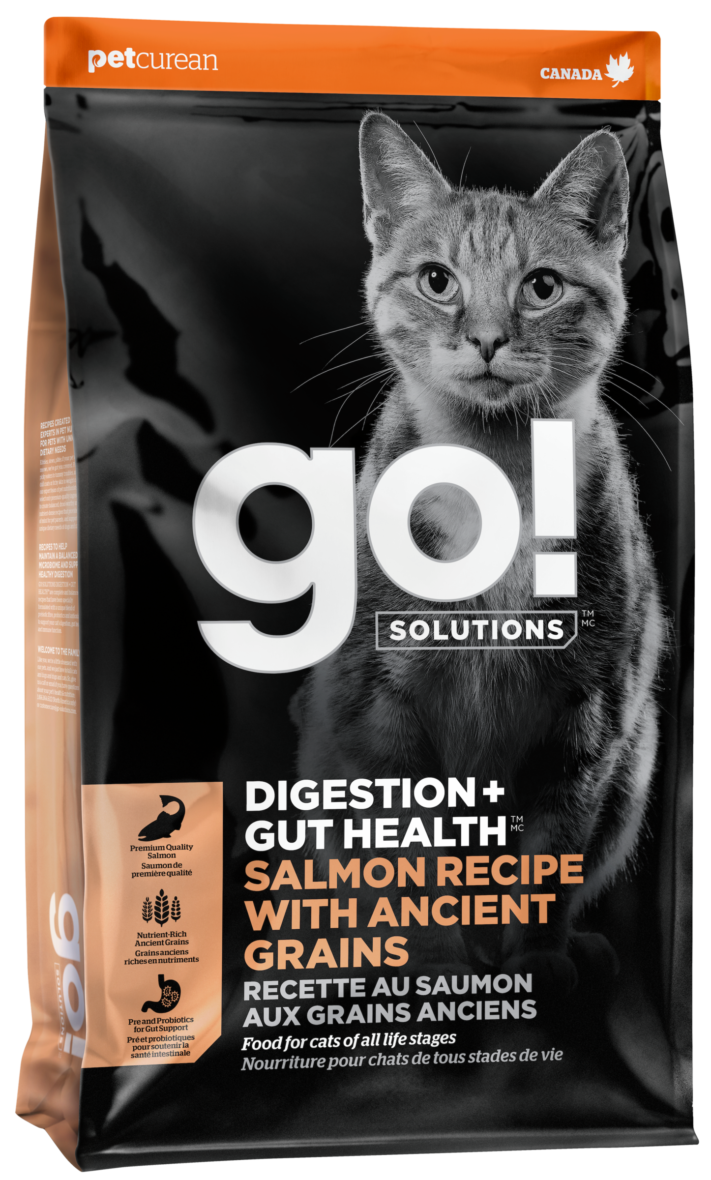 貓_腸胃保健_鮭魚