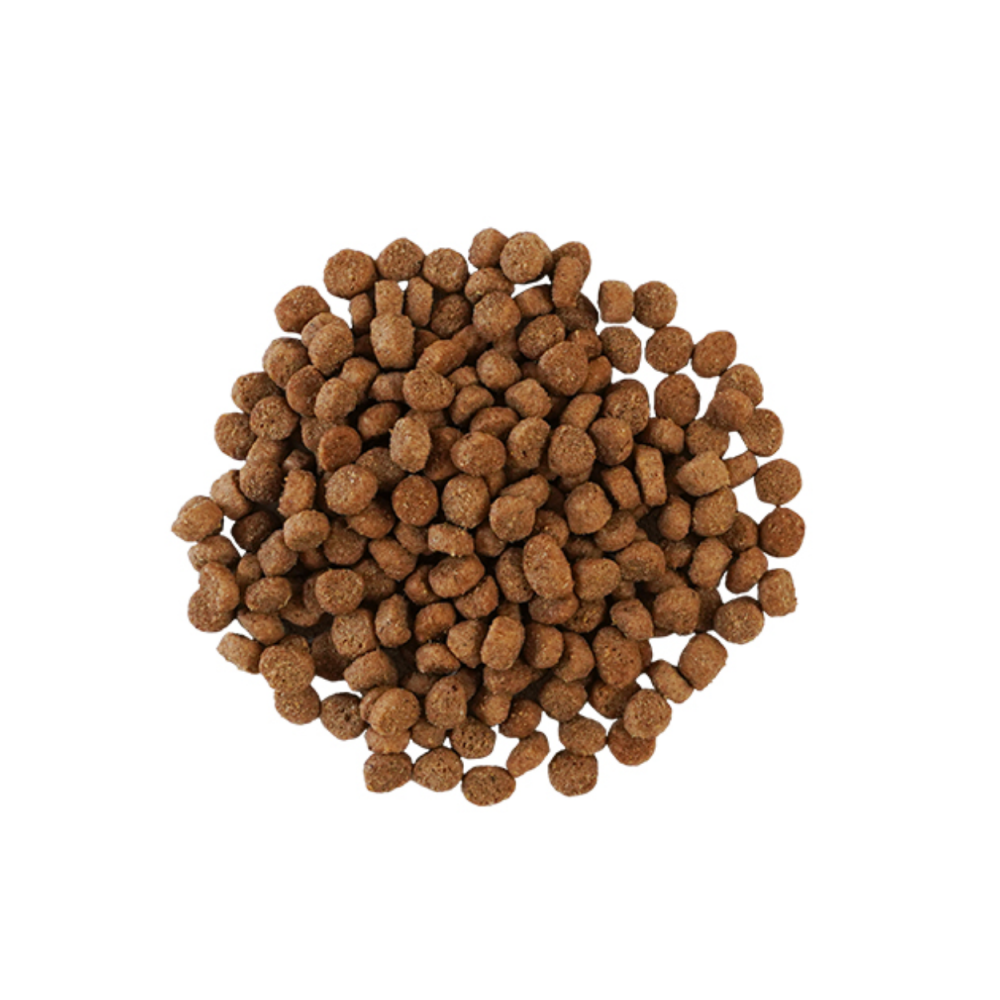 go_cf_hc+uc_kibble_1000_1000