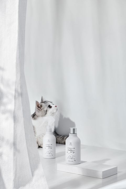 北美荊芥織品與寢具噴霧長方圖