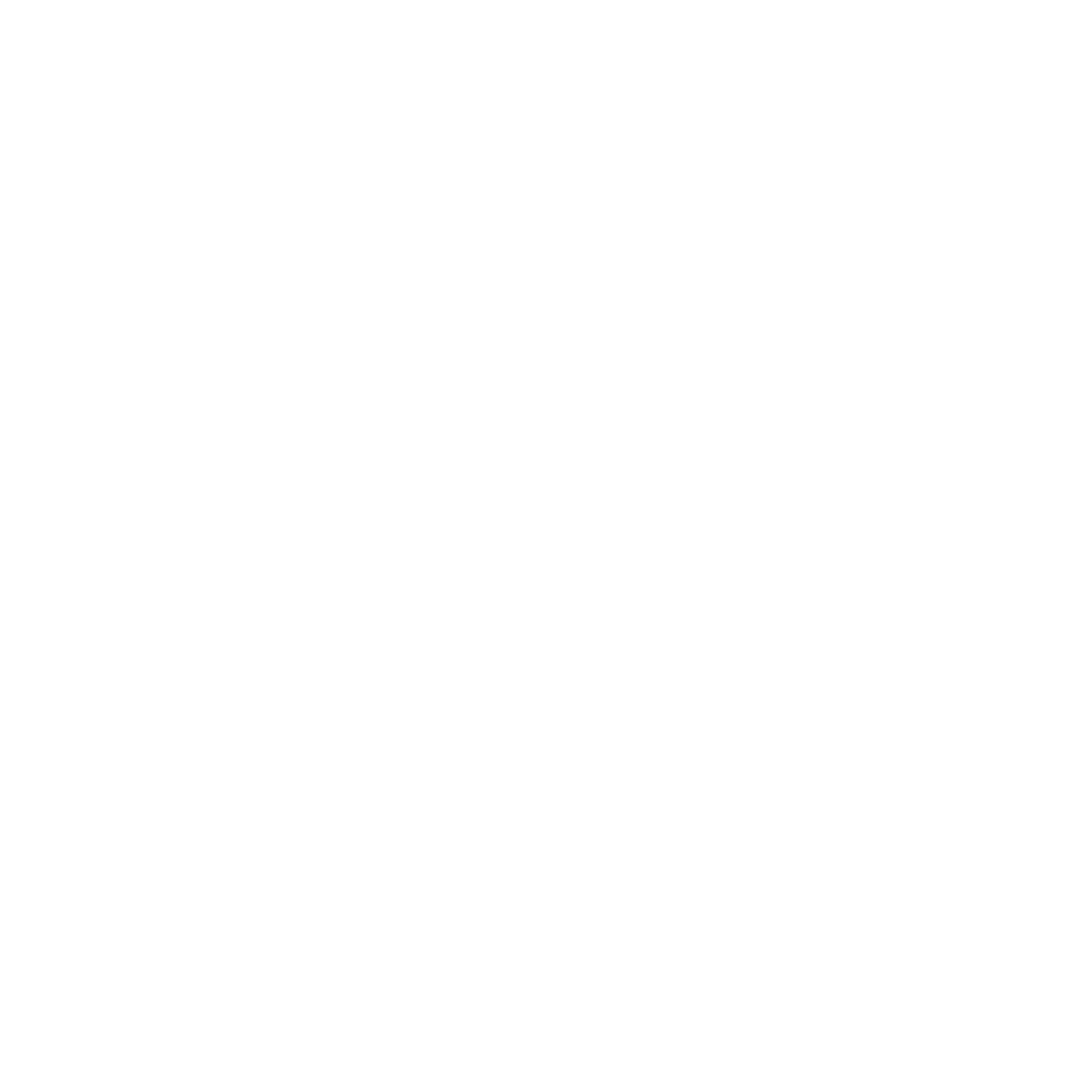 basket-shopping-solid -01