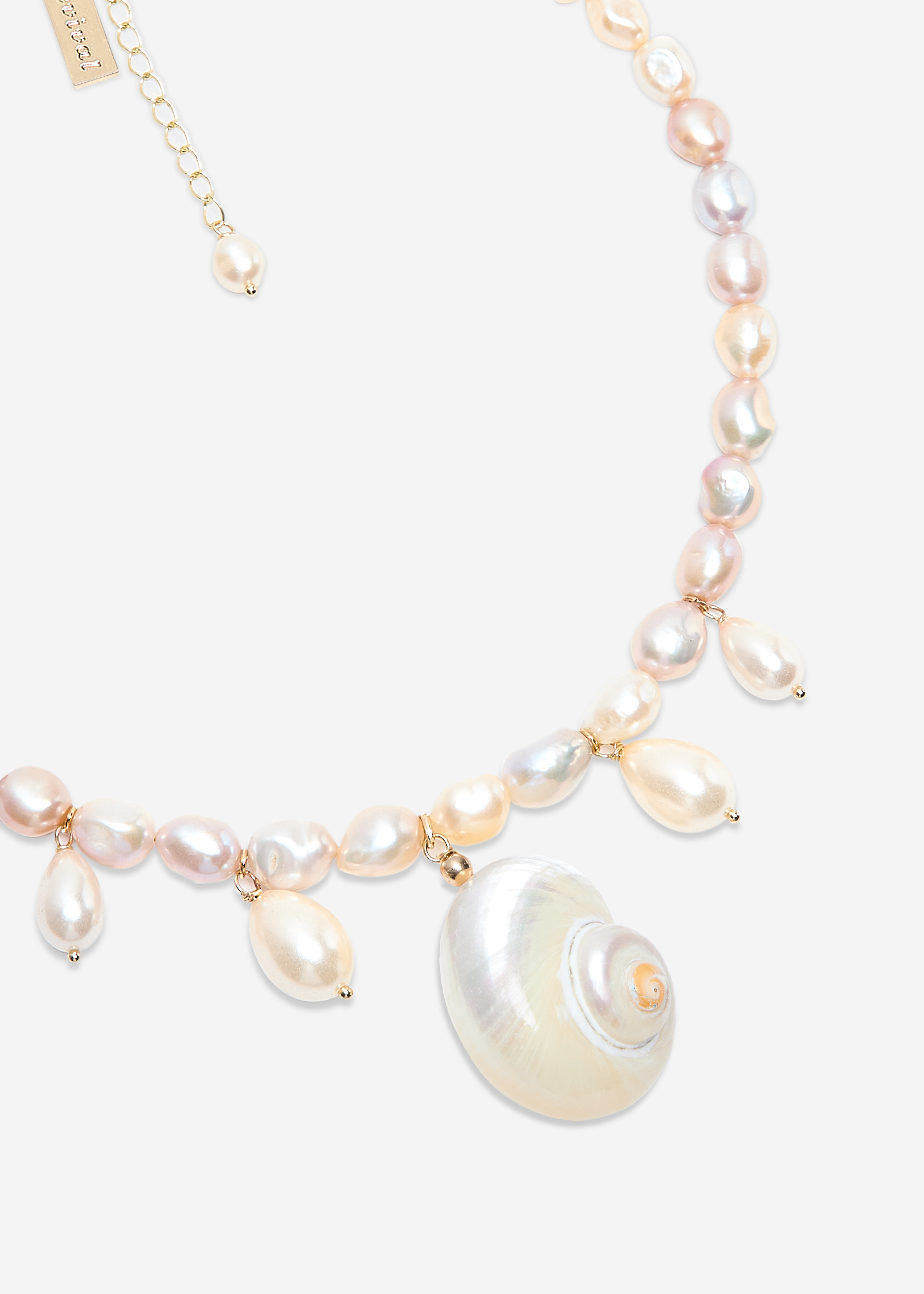 c446cdb9169d5e8287aa1cc1c798d83a