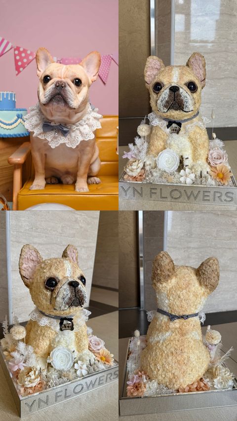 67EEAB30-C408-40E5-A02F-7F1A924B5B59