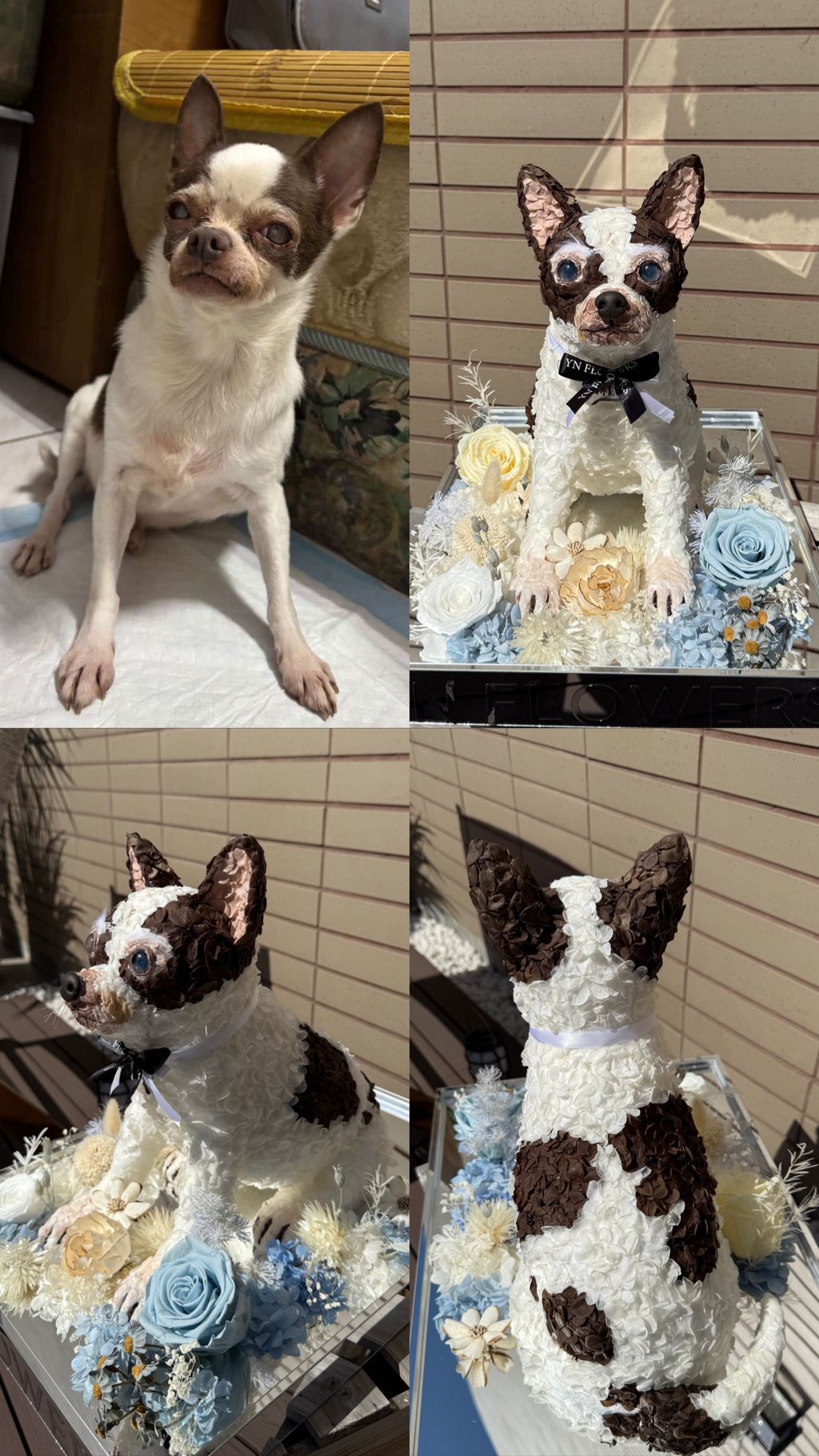 image_E8F4640A-5F01-4FF9-A760-DF64FB489052_1771081757