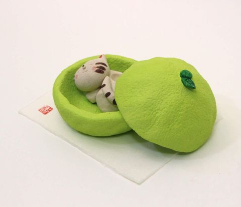 果物猫アロマ・かぼす1