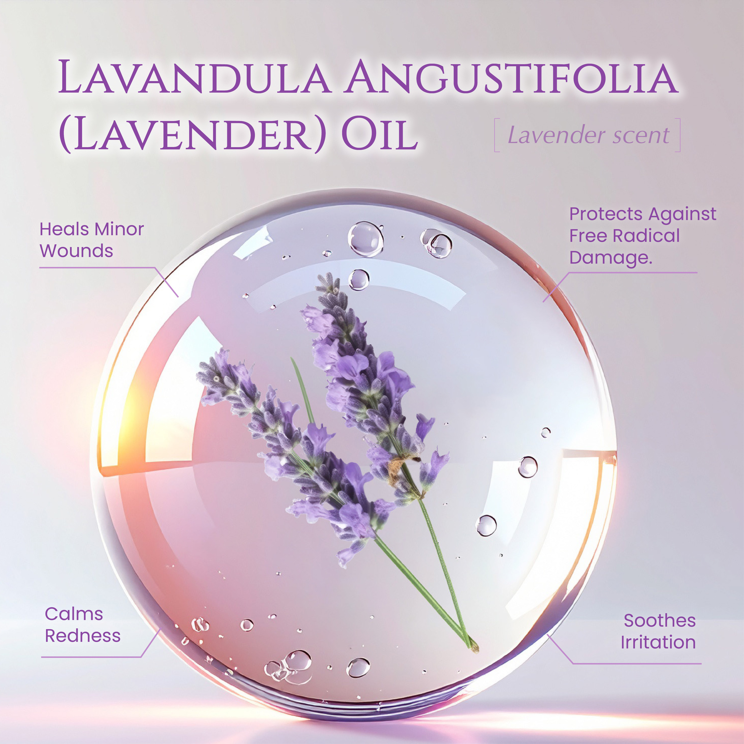 Lavender Nourishing Face Oil-04