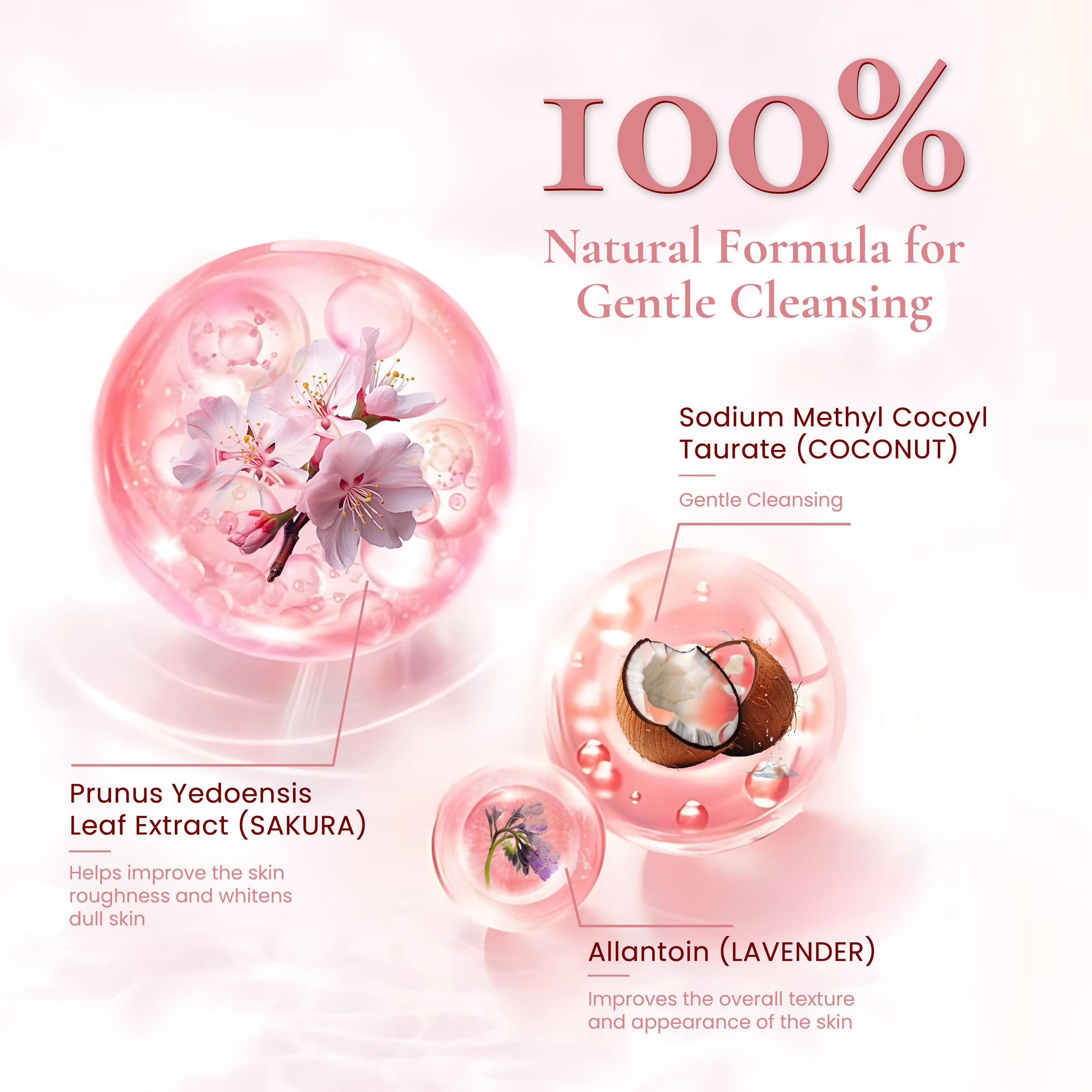 Sakura Face Cleanser-04