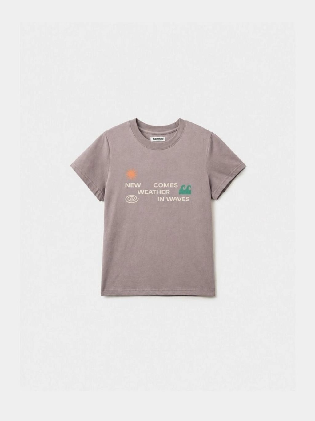 Weather in Waves Tee (Smoky Beige) W