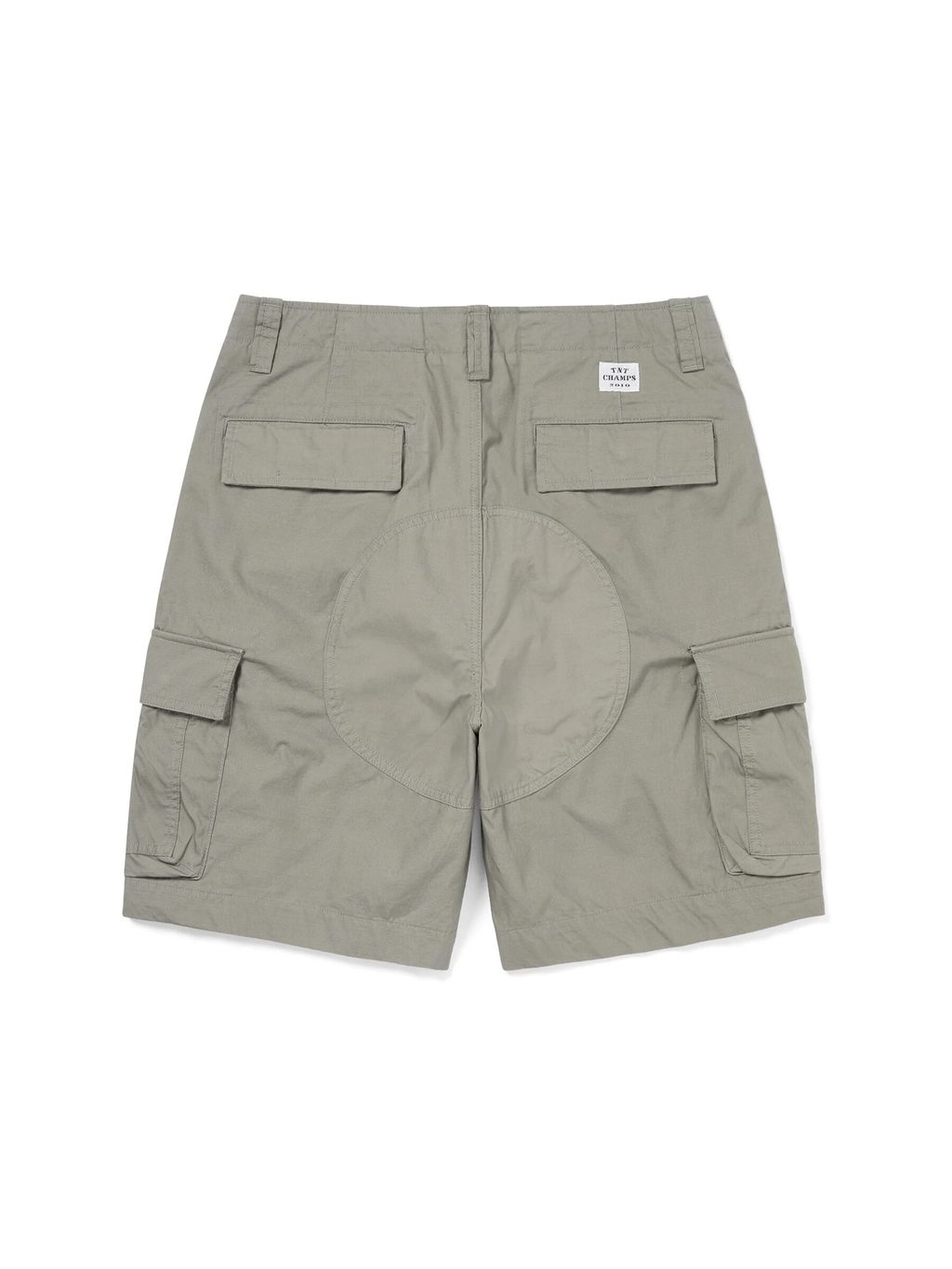 TNT Cargo Short Sage 5