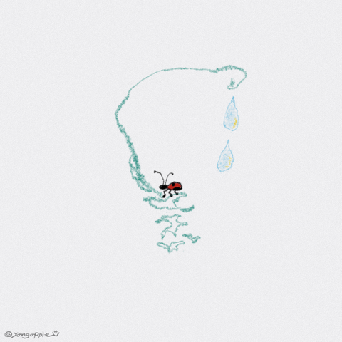 IMG_1767