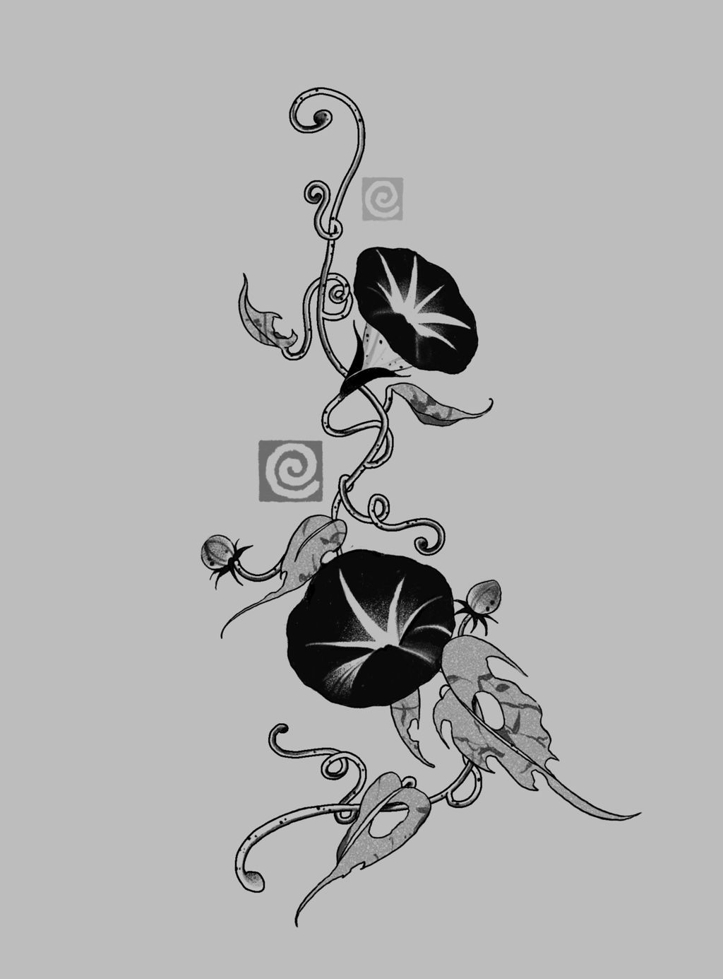 未命名的作品 15