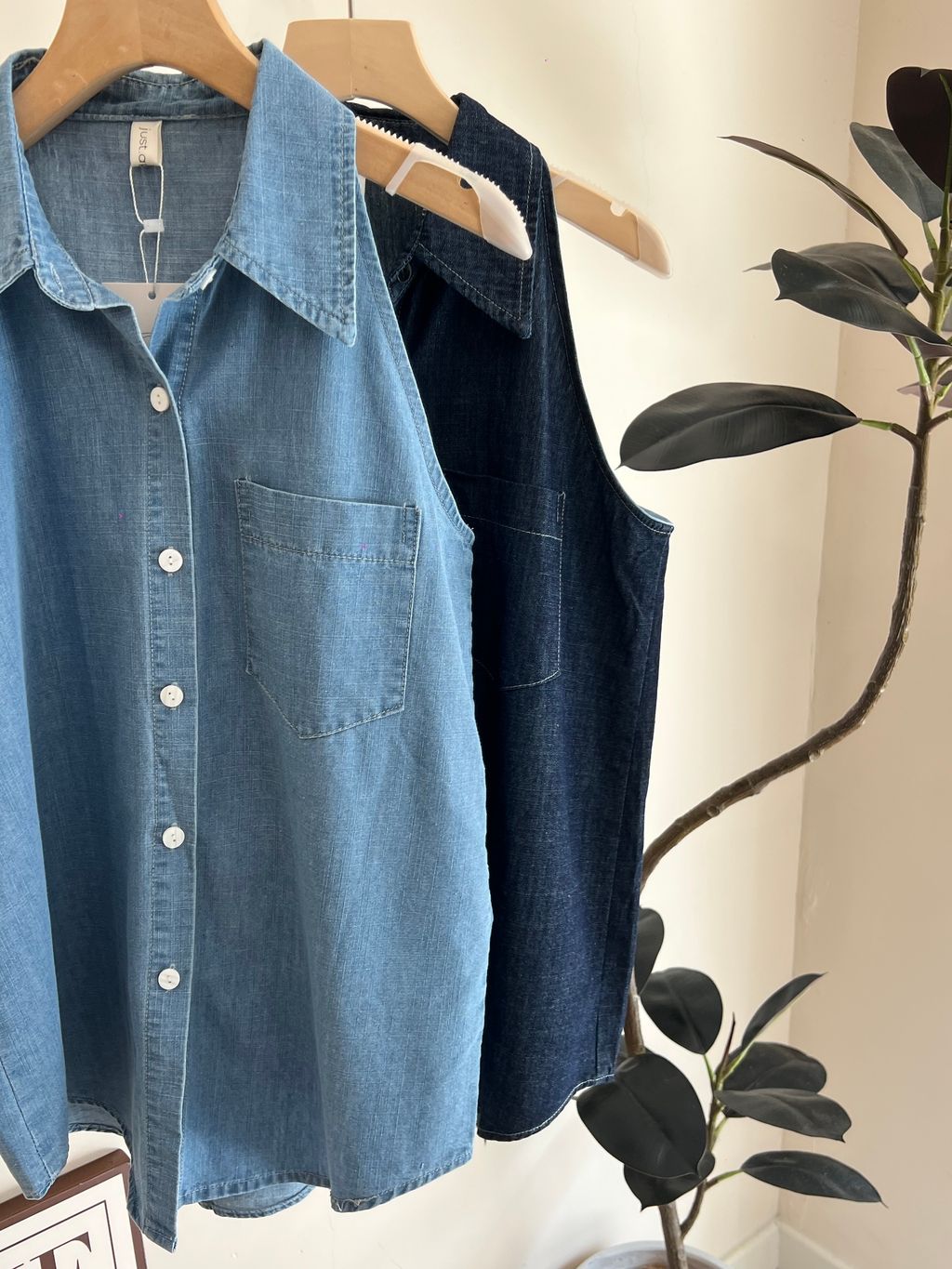 image_C647F5FB-5842-4CA4-808C-C828A59EC583_1773386629