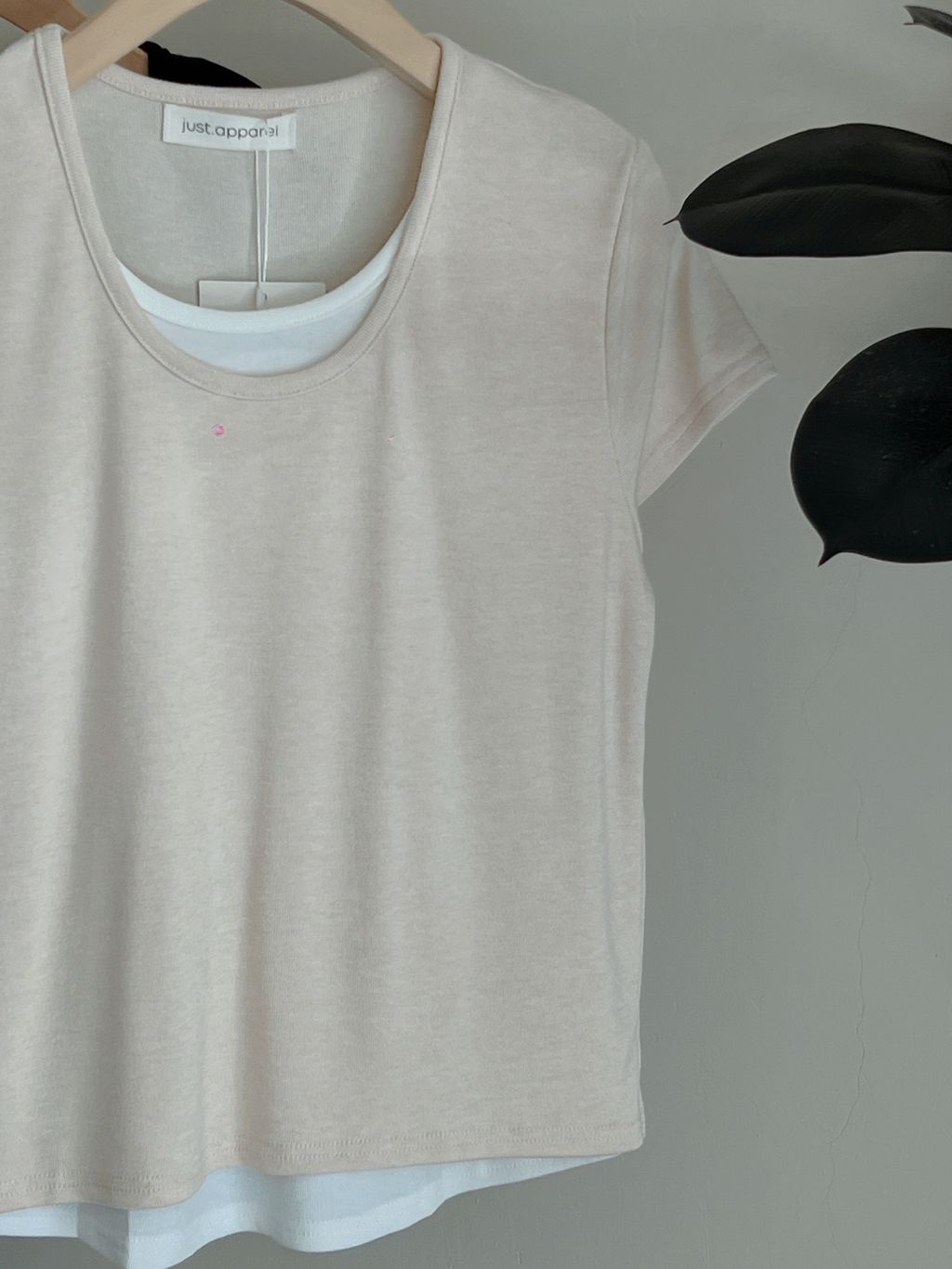 image_6A3CFC7F-5882-4FBD-B852-60C6CFB513E6_1773554201