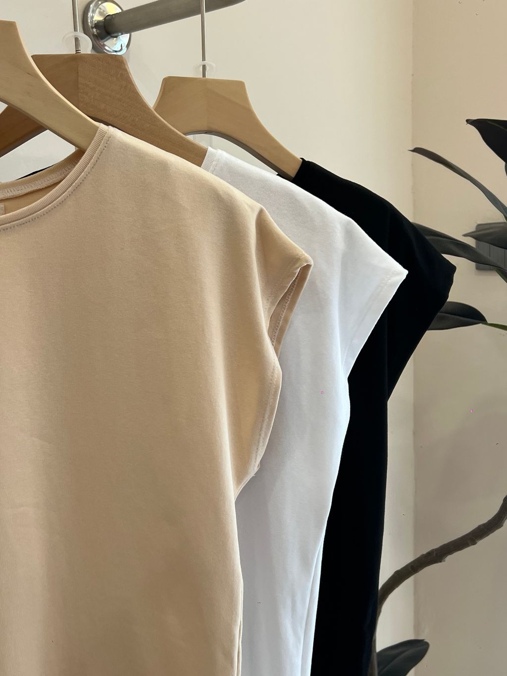 image_CC48E01D-7E96-4340-A447-9D02DA083DE5_1767931172