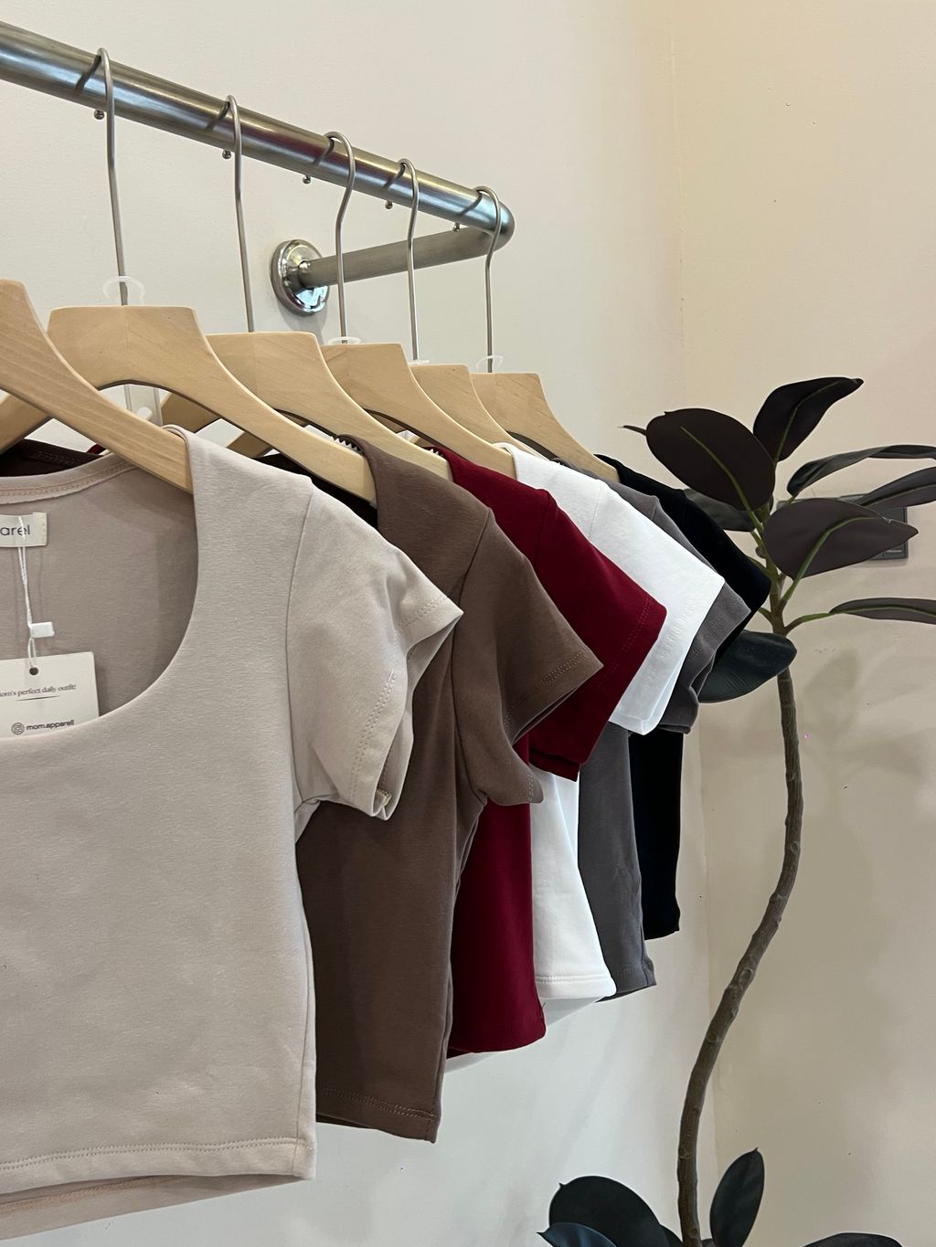 image_95E98842-A1A5-4850-9F1A-7B4A6F7A1871_1768617727