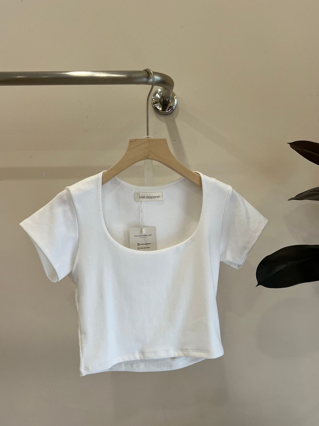 image_293A40DF-C743-4412-BE1A-557AE371B640_1768617728