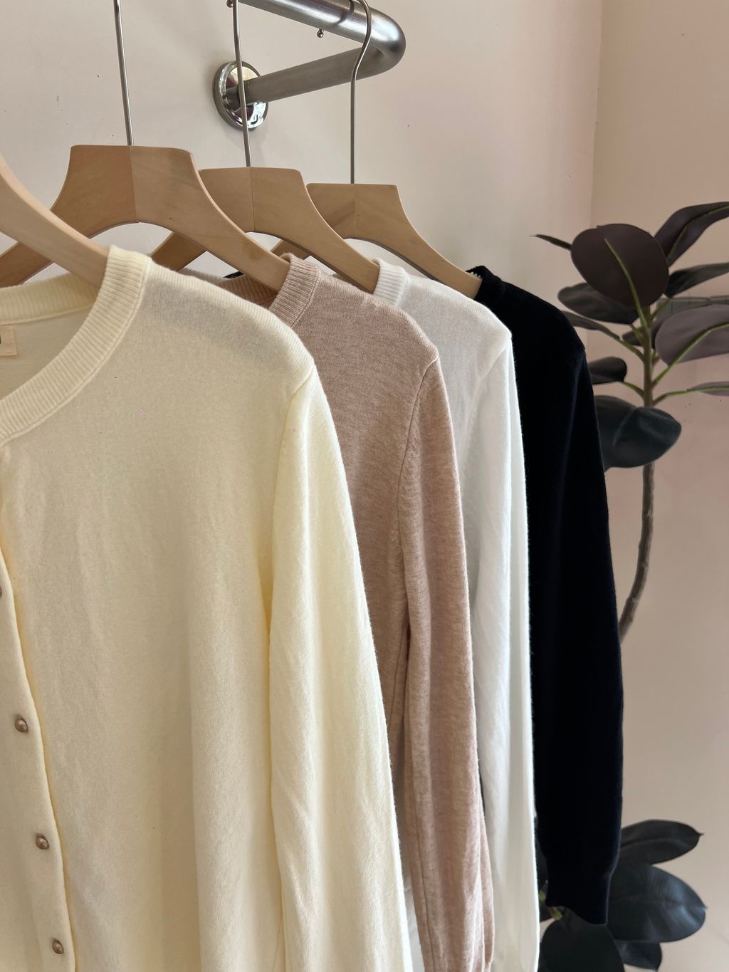 image_06343AE9-3E53-4293-84FE-7CC59FDFAE37_1768630373