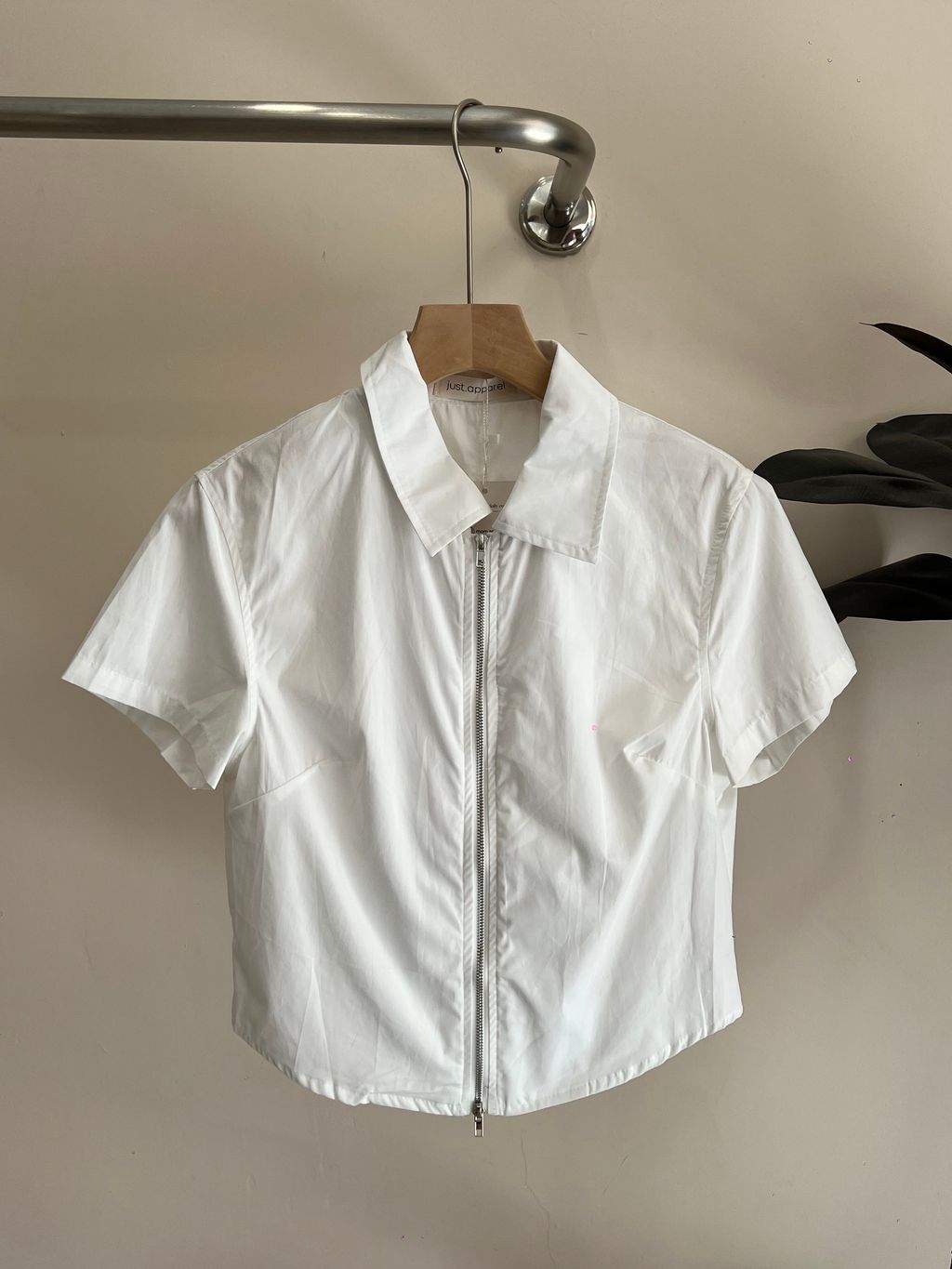 image_A19429BC-4138-4A6B-8BD3-8C76F7736BDD_1769834658