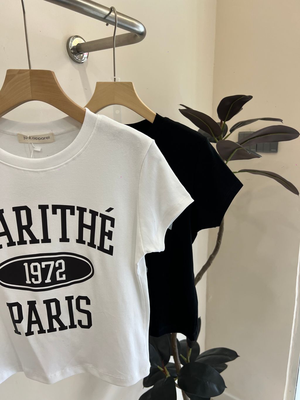 image_27CE8486-19C9-4FBE-AF8C-29AF7B736A2D_1771986720